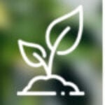 Group logo of Spiritual Growth